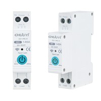Disjoncteur intelligent Wi-Fi TUYA ZJLY-1PNL 63A 1P+N pour maison connectée, contrôle à distance par application, protection contre les fuites à la terre, MCB en cuivre 6kA