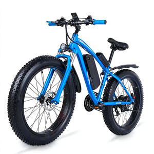 Bicicleta Eléctrica de Montaña de 48V 1000W con Motor sin Escobillas, Llanta Gruesa de 26 Pulgadas, Diseño Elegante, Freno Hidráulico, para Adultos - Product Image 1