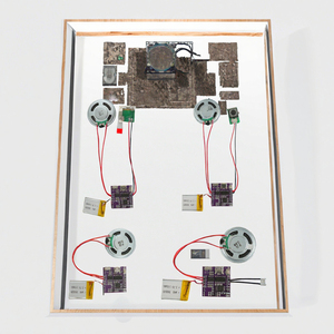 Modulo Audio Programmabile USB 4M Registrabile con Sensore di Luce per Biglietti d'Auguri e Regali Fai-da-Te - Product Image 3