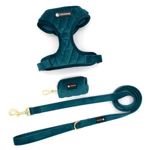 Toptan Üretici Lüks Kadife Köpek Tasması Seti Özel Logo Ayarlanabilir Evcil Hayvan Tasması ve Tasma Kiti Küçük Orta Boy Köpekler İçin - Product Image 2