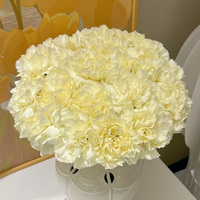 Grossiste Grade A Nai You Bai Carnation - Blanc pour Bouquets, Directement du Producteur pour Décoration d'Événements de Mariage, Prise en Charge du Transport en Chaîne du Froid