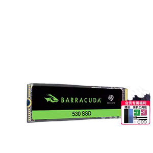 ZP1024CM3A0031tm2 Solid State PCIe <strong>4</strong> Hard <strong>Disk</strong> <strong>Computer</strong> Laptop TLC Particle PS5 Cool Fish 530 - Product Image 3