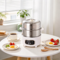 Cuiseur à œufs électrique numérique intelligent en acier inoxydable 304, cuiseur vapeur multifonction pour le petit-déjeuner, la cuisson des œufs et des légumes