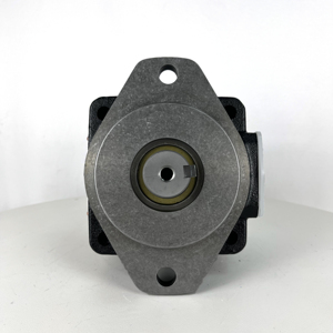 NEW T7DS B35 1R00 A1M0 / T7DS-E31-1R00-A1MW Single Vane T7DS Vane Pump Hydraulic Pumps - Product Image 2