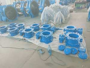 Valve de contrôle à Double bride, 2 pièces, vanne de contrôle à disque d'inclinaison avec poids comptoir - Product Image 5