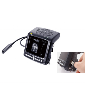 Nuevos materiales Buen <span class=keywords><strong>precio</strong></span> Máquina de ultrasonido Perros Kaixin KX5200V Ultrasonido para animales - Product Image 1