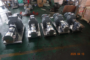 ปั๊มทรานเฟอร์ซอสทาฮินีทำจากสแตนเลส316 304โรตารี่ - Product Image 4