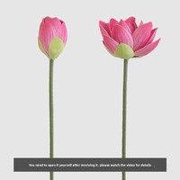 Bunga Teratai PVC Pink Buatan Tinggi 70cm untuk Dekorasi Kolam Ikan Model Tanaman SP02043 Embossed XIyue