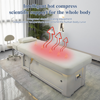 Lit de Massage Électrique de Luxe Thaïlandais 2 Moteurs pour Soin Capillaire, Table de Massage Cosmétique avec Armoire pour Salon de Beauté
