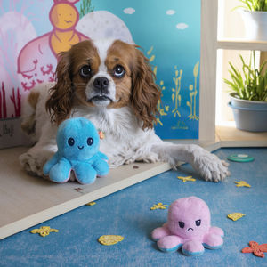 ของเล่นสัตว์เลี้ยงยัดไส้ตุ๊กตาสัตว์ทะเลของเล่นปลาหมึกน่ารักสีสันสดใสเปลี่ยนกลับได้ของเล่นสุนัขส่งเสียงได้แบบโต้ตอบ - Product Image 1