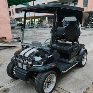 Voiture de golf électrique tout-terrain 2 places avec 4 roues, batterie au lithium, vitesse de 24 km/h, capacité de charge de 300 kg, télécommande - Product Image 1