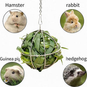 Griglia per foraggio a forma di palla di fieno di coniglio per cavie e cincillà in acciaio inossidabile placcato con sfera di alimentazione per fieno - Product Image 1