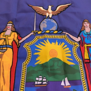 Bandera del estado de Nueva <span class=keywords><strong>York</strong></span> bordada de 3x5 pies Bandera duradera para exteriores con ojales de latón - Product Image 4