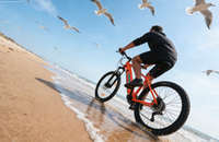 Vélo de montagne électrique en aluminium 7 vitesses 500W 36V avec moteur arrière sans balais, freins à disque hydrauliques, autonomie de 60 km, batterie intégrée