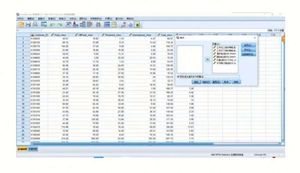 วิน ซีด ดาวน์โหลดลิงก์ โซลูชั่นผลิตภัณฑ์และบริการทางสถิติของ Onedriver ซอฟต์แวร์สำหรับ SPSS 26 - Product Image 3