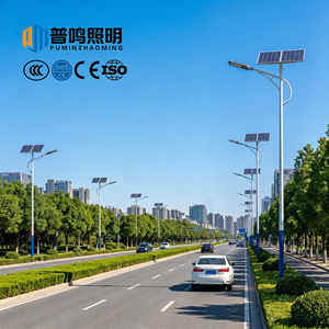LED Solar Street Light with Pole (3-5 Meters), Built-in 25000mAh Battery, IP65 protection Rating, CE Certified