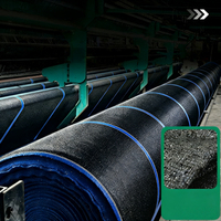Zwarte HDPE Lockstitch Heavy Duty UV-bestendige thermische barrière landbouw schaduwnet voor tunnelteelt kas