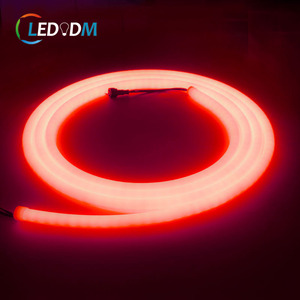 Striscia <span class=keywords><strong>LED</strong></span> Neon Flessibile SPI RGBW WS2811 12V/24V 60 <span class=keywords><strong>LED</strong></span>/m Dimmerabile 100% Silicone Puro IP67 Impermeabile Luci Neon Personalizzabili - Product Image 3