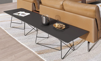 Kreativer Moderner Beweglicher Leichter Holz-Couchtisch mit Metallrahmen für Wohnzimmer und Heim