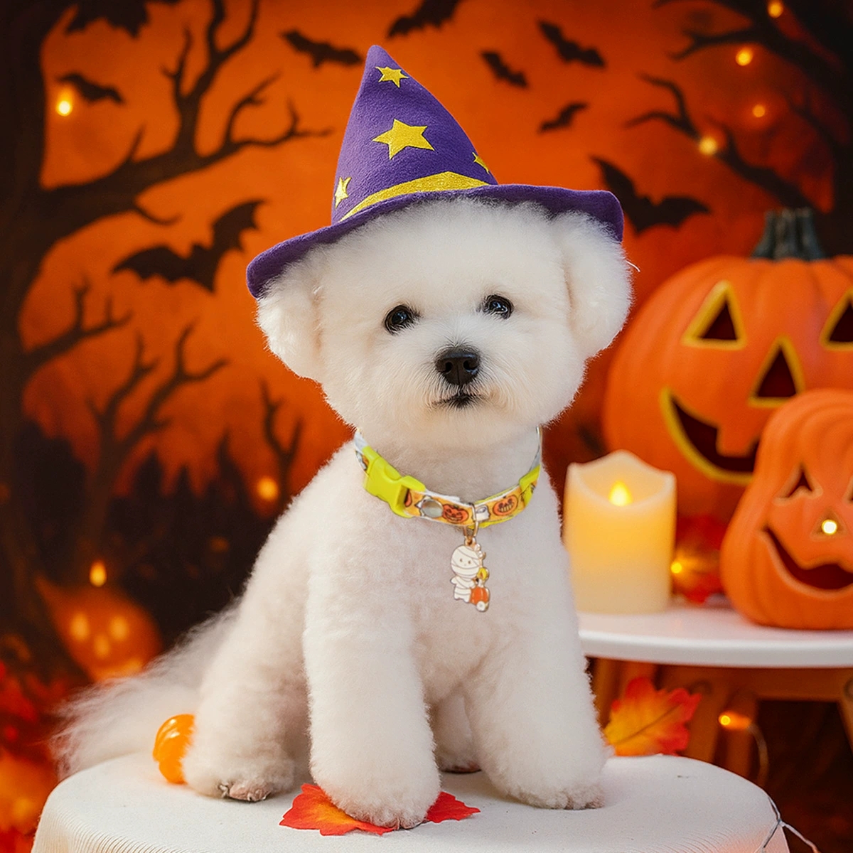 JM-Wholesale Halloween Pet New Product Accessories Collars Cute Dog and cat Items Pumpkin Collars