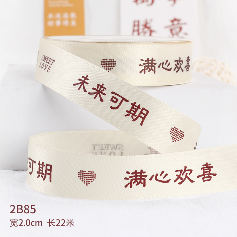 A promising future 2B85