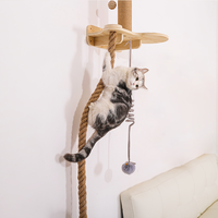 ROPECUBE Tour d'escalade murale pour chat avec griffoir en sisal et étagère en bois Meubles de jeu d'activité pour chat