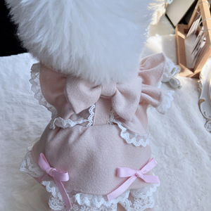 Robe de princesse avec nœud pour petits et moyens chiens, vêtements pour animaux de compagnie printemps, robe d'ange rose nude avec bordure en dentelle - Product Image 3