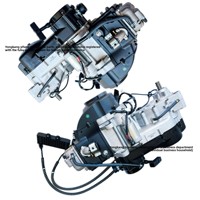 GY6 Jinlang 165QML Ausgleichswellen-Kettenantrieb Eingebautes Rückwärtsganggetriebe Luft- und Ölkühlung 230ccm Motor mit Vibrationsdämpfung