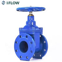 Valve de porte à d'extérieur à bride, en fer 10/10