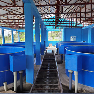 Équipement de système de pisciculture ras, système d'aquaculture pisciculture, aquarium pour le poisson-chat et le tilapia - Product Image 6