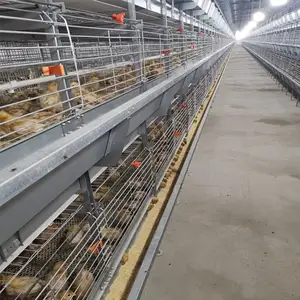 Jaula de pollo de animales grandes famosos de 3,2mm de espesor