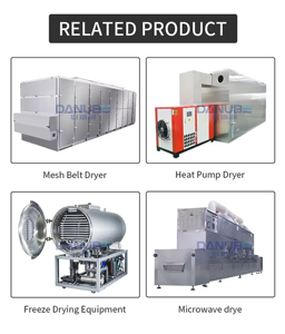 Deshidratador de kiwi con tecnología de secado inteligente para una deshidratación rápida y una producción de frutos secos ricos en nutrientes - Product Image 5