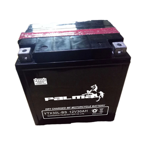 <span class=keywords><strong>Batterie</strong></span> de moto AGM sans entretien à haute CCA <span class=keywords><strong>YTX30L</strong></span>-<span class=keywords><strong>BS</strong></span> 12V28Ah pour motoneige Scooter ATV - Product Image 3