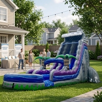 Toboggan aquatique gonflable double piste robuste certifié CE en PVC pour fêtes de jardin, parcs aquatiques et opérateurs de location