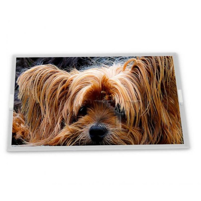 M150XN07 V9 15 Inch  1024*768 Industrial Display Screen