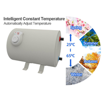 Chauffe-eau électrique à eau chaude 12V RV DC en plastique, capacité de 10L pour application automobile