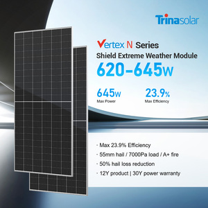 Panel Solar Trina Tipo N de Doble Vidrio 700w 650w 630w 610w, Paneles Solares Bifaciales - Product Image 2