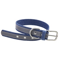 Collier pour chien en denim avec bandes réfléchissantes, collier pour animaux de compagnie, accessoire pour chien Teddy Bear