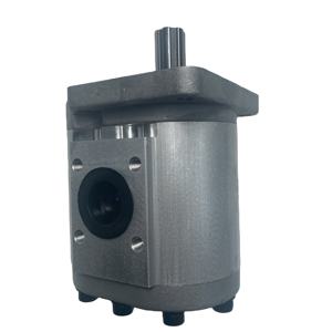 Pompe à engrenages double haute pression pour carburant diesel HuamaoChina OEM Factory Direct CBNF563-BFHL - Product Image 2