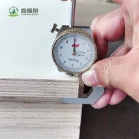 Contrachapado de Álamo Marino de 18 mm Resistente al Agua con Estructura Laminada, Tablero Marino para Exteriores para Construcción y Muebles
