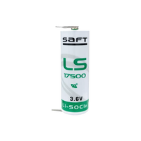 Batterie au lithium chlorure de thionyle CKXIC LS17500 3,6 V 50,5x17,5 mm pour PLC, contrôle industriel, machines-outils à commande numérique