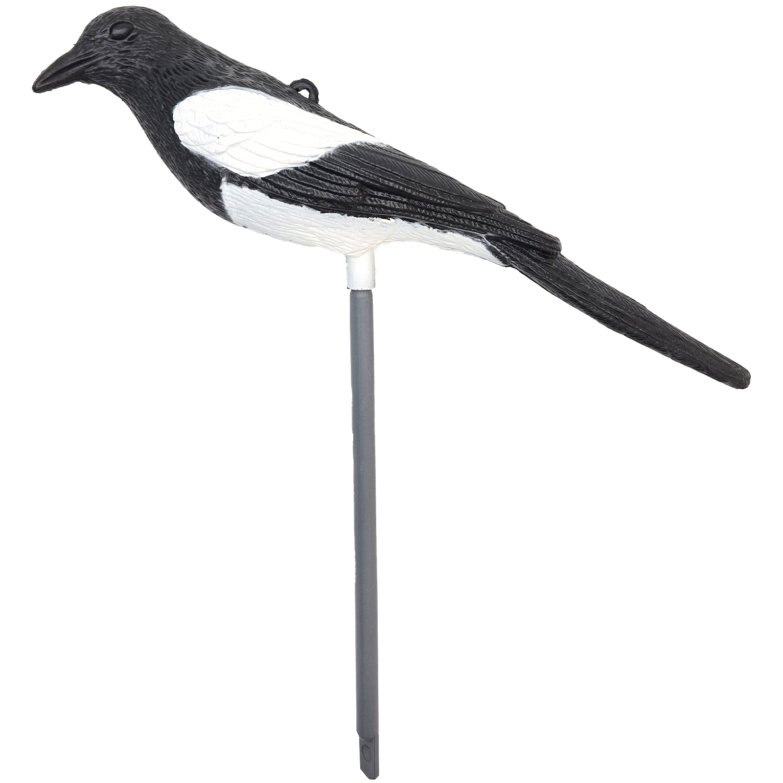 SQ341-4 in bianco e nero