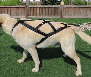 PVCマッシング<span class=keywords><strong>X</strong></span>バックハーネス犬用パッド入りペットそりスキージョーリングスクータートレーニングエクササイズ作業犬の引っ張り用ハーネス - Product Image 5