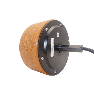 Motor de Cubo bibo WS55L-15A110C-MGGA05 de Alta Calidad en Oferta, 5~95% de Humedad Relativa, Construcción con Imán, Fuerza de 40kg - Product Image 2
