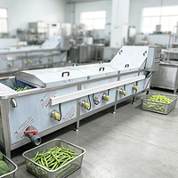 Mesin Blanching Kentang YouBan, Mesin Pasteurisasi Water Bath, Lini Pasteurisasi SUS304, Mesin Blanching Sayuran untuk Sayuran yang Sudah Dibuat