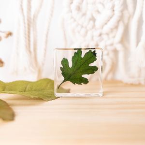 الحفاظ على الزهور الحقيقية واضحة الكريستال الحرفية الهدايا القطيفة الفرنسية ثقالة الورق للديكور - Product Image 2