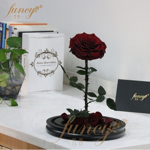 Set regalo di rosa incantata nuova bellezza conservata e la bestia rosa per San Valentino - Product Image 6