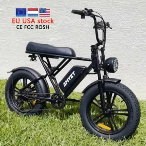 Paesi Bassi 250w elettrico 20 pollici grasso pneumatico fuori strada Ebike 1000w 48v mountain E-bicycle per adulti moto elettriche da città