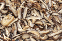 Automatische Verse Champignon Abrikoos Abalone Paddestoel Snijmachine Droge Champignons Snijmachine