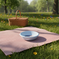 Assiette ronde en plastique PP 3D lenticulaire à motif de dessin animé personnalisé, couleur sur mesure, portable et réutilisable pour enfants, usage domestique – Vente chaude